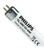 Philips T5 Short 6W - 640 Kallvit | 21cm